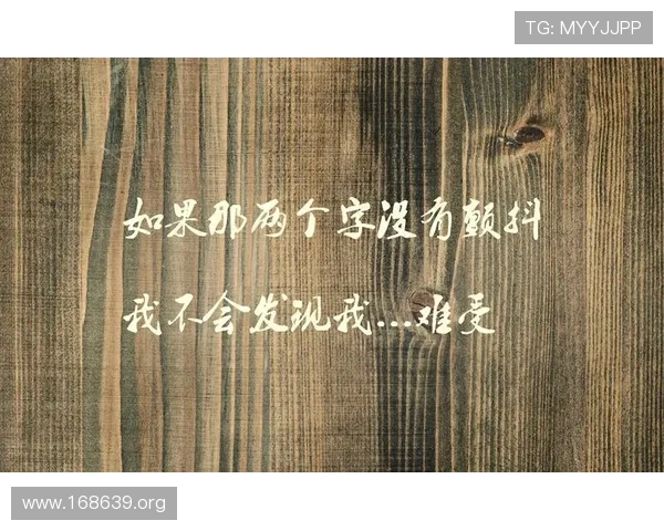 探索大都会歌曲歌词的深意与艺术魅力